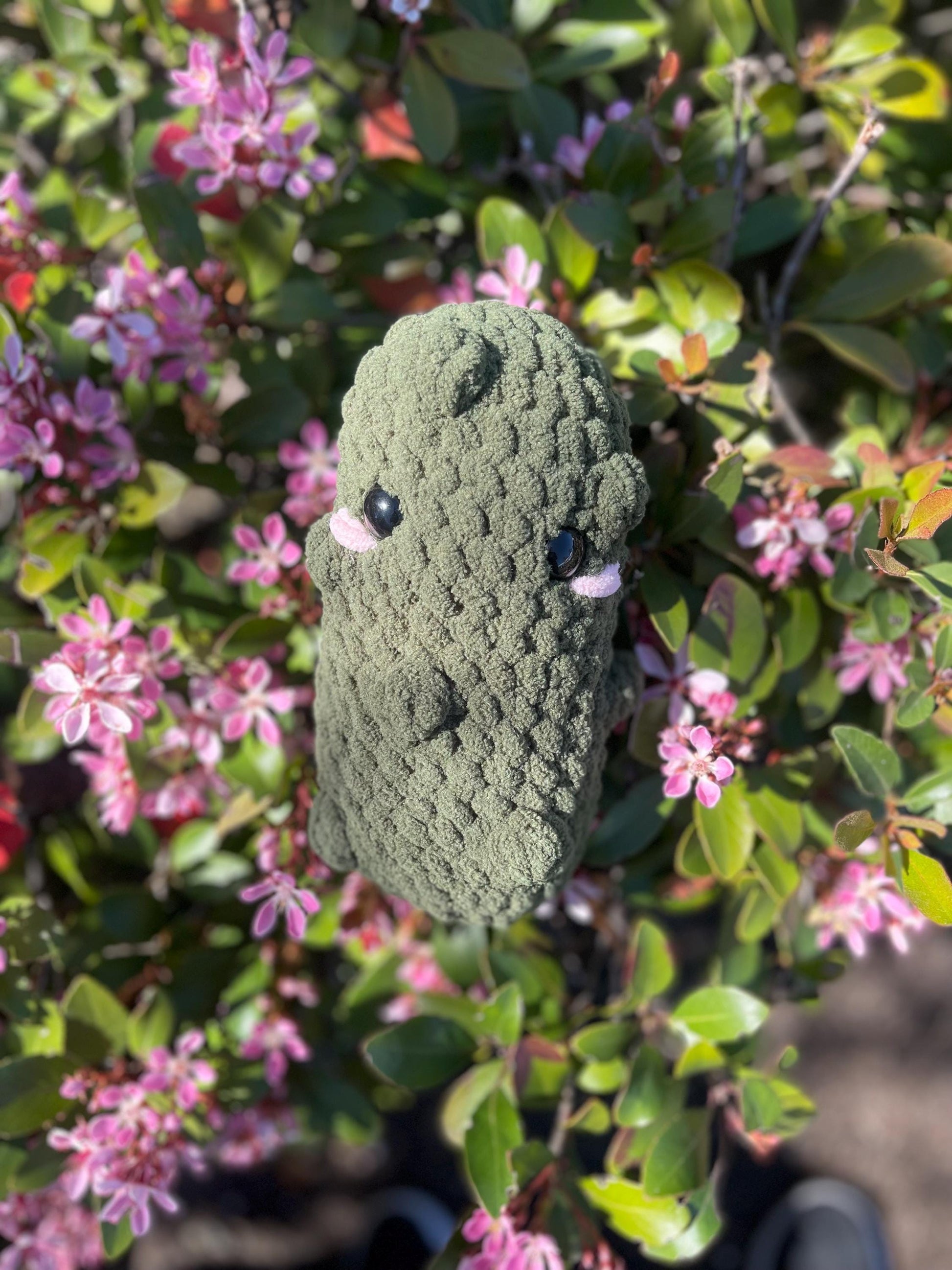 Crochet Pickle