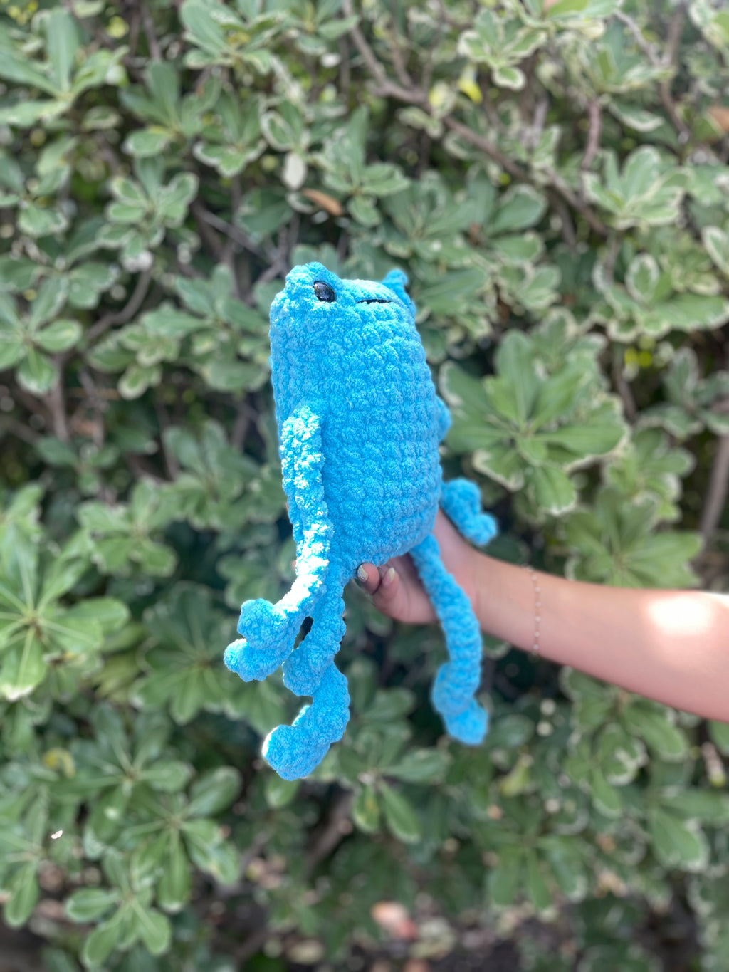 Crochet Leggy Frog