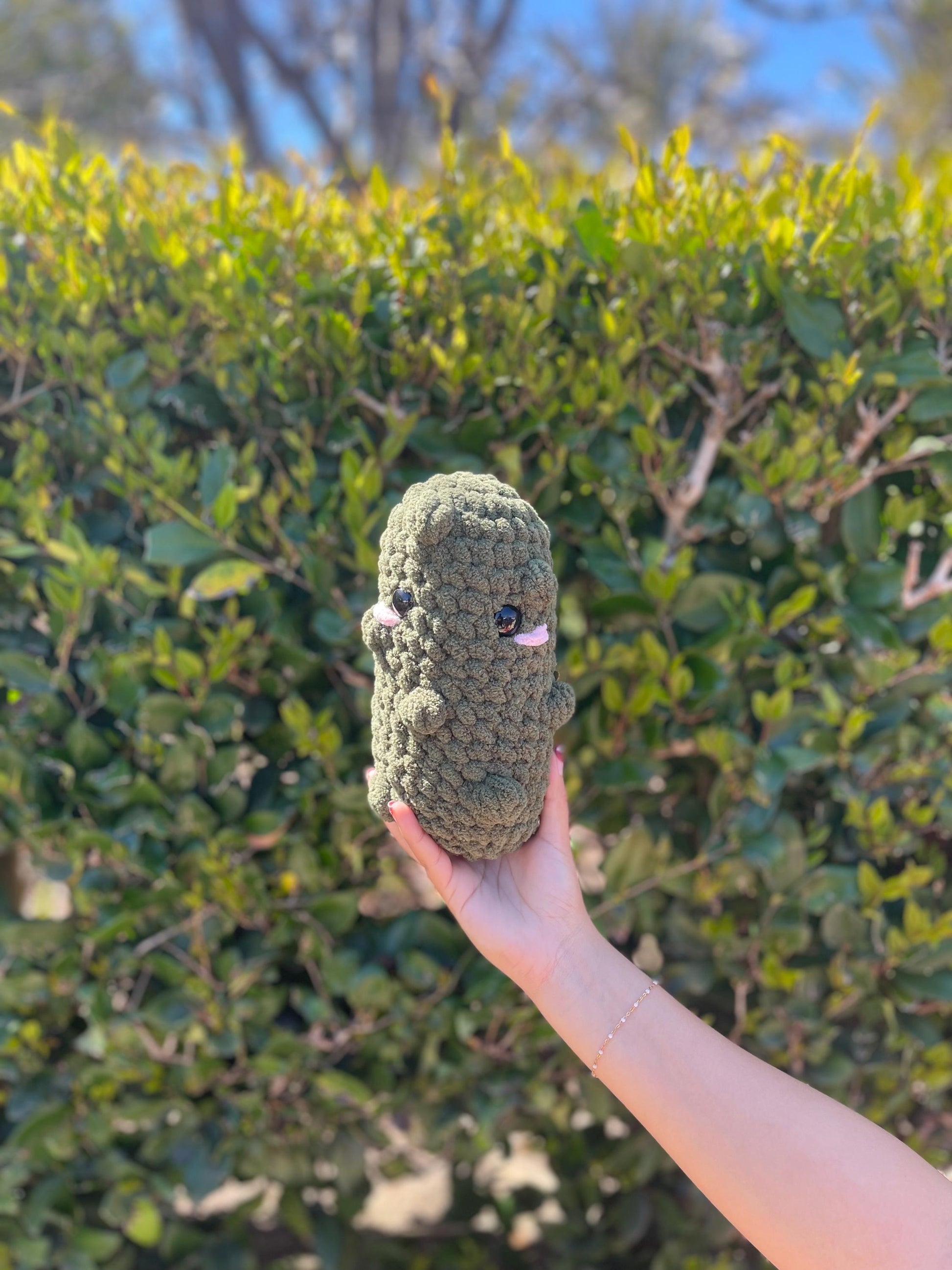 Crochet Pickle